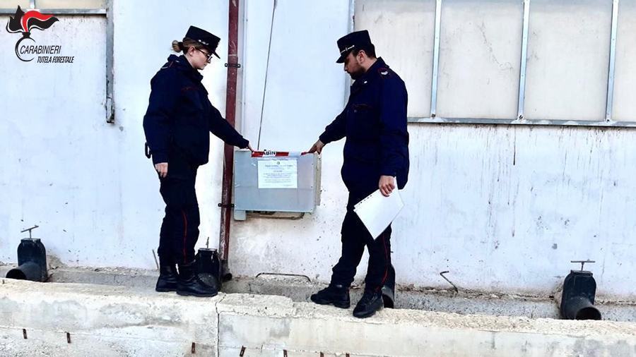 SEQUESTRO MONTALTO 1