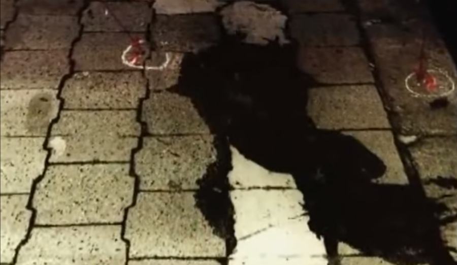 omicidio magistrato bruno caccia 1983