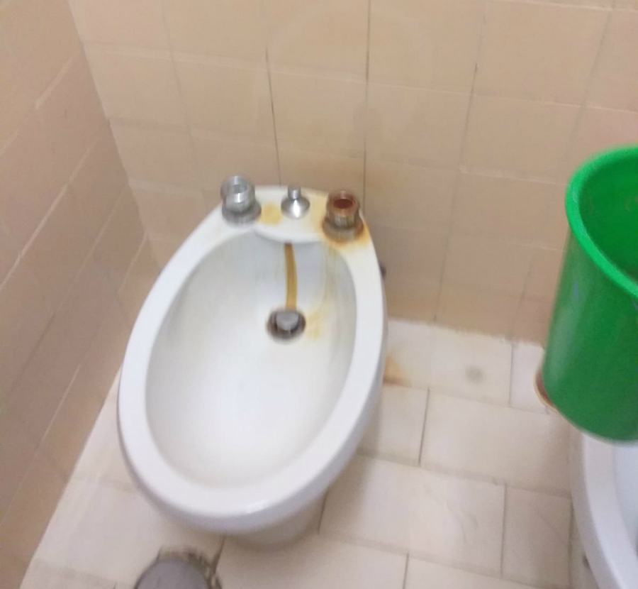 scuola camigliatello1