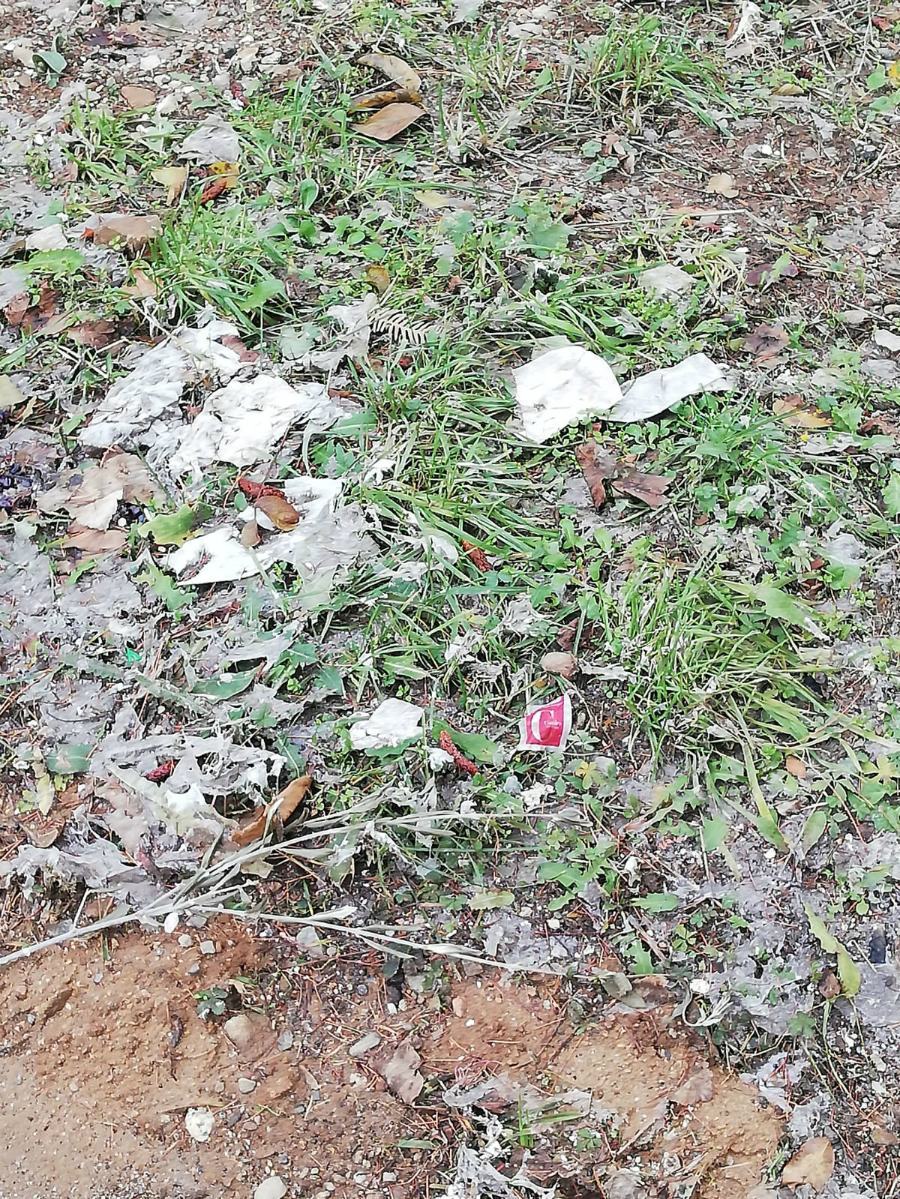 scuola camigliatello3