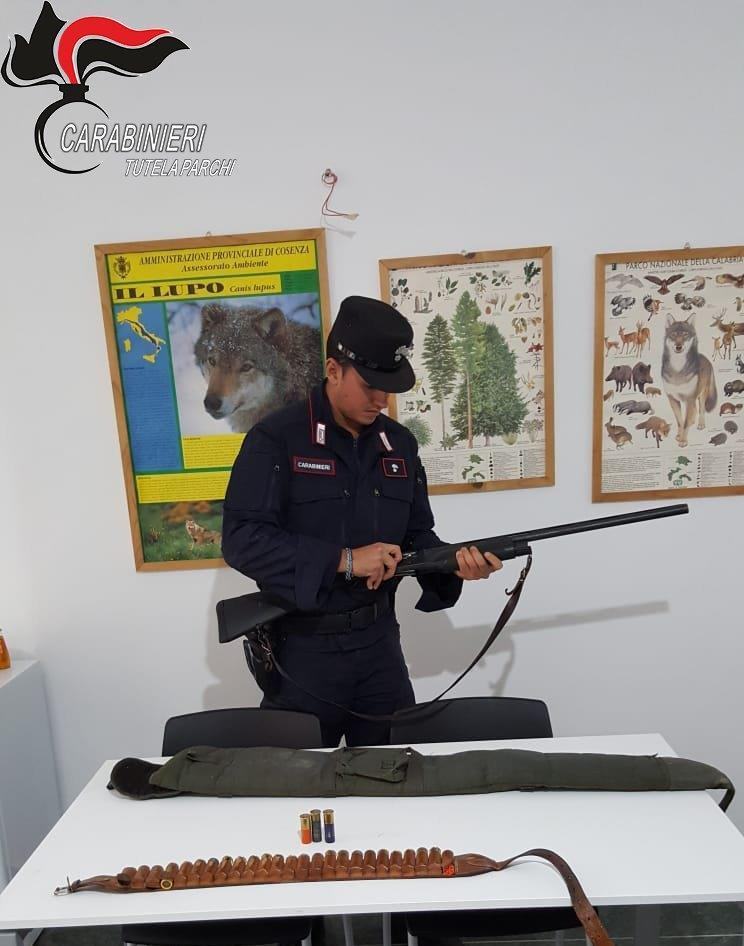 sequestro parco sila