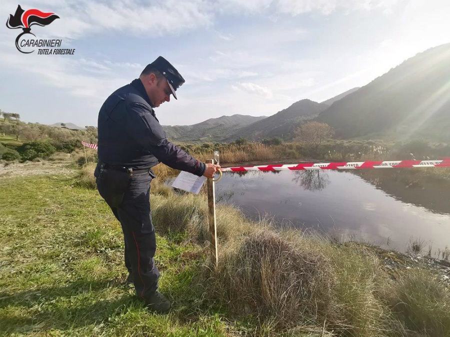 sequestro scala coeli