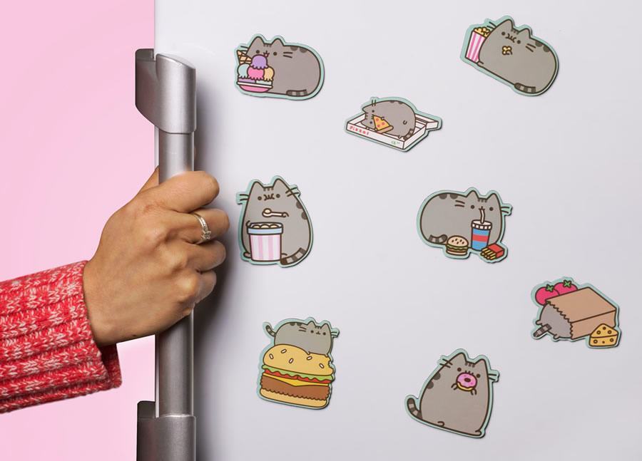 5 magneti pusheen cat
