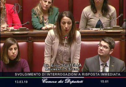 ELISA SCUTELLA CAMERA