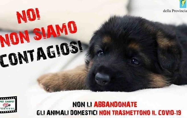 Noi non siamo contagiosi