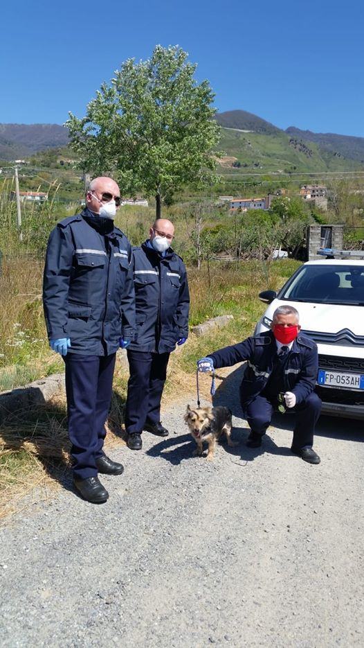 Paola, associazione di volontariato 'Zampe in Salvo' ringrazia la Polizia Ambientale 52 93513131 10217607957971129 198369021685399552 o