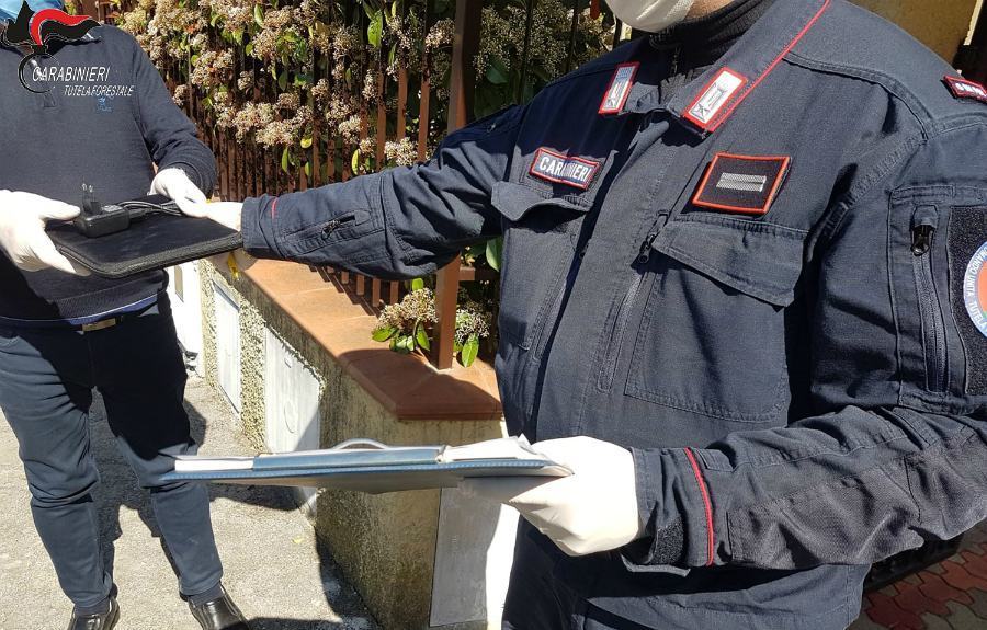 cosnsegna tablet forestali