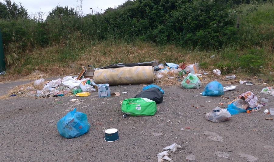 UDICON RIFIUTI Cosenza 02