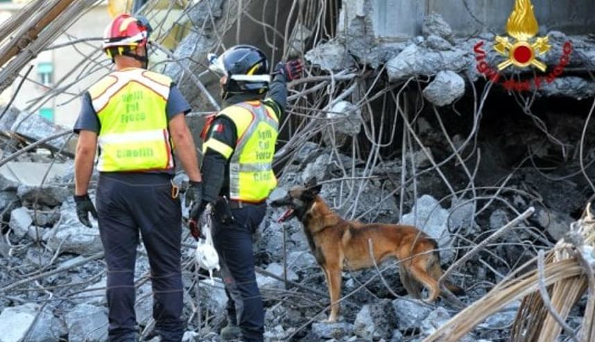 Wendy cane vigili fuoco morandi