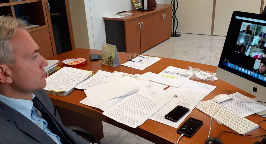 autismo gallo videoconferenza