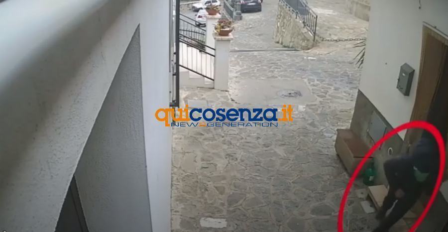 Blitz "Fiamme del Tavoliere", 5 misure cautelari per estorsioni e incendi - VIDEO 54 fiamme del tavoliere 02