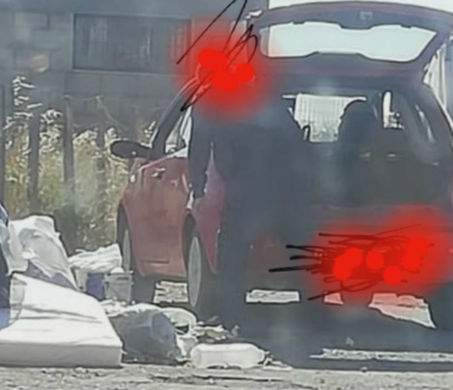 fototrappole isola capo rizzuto 02