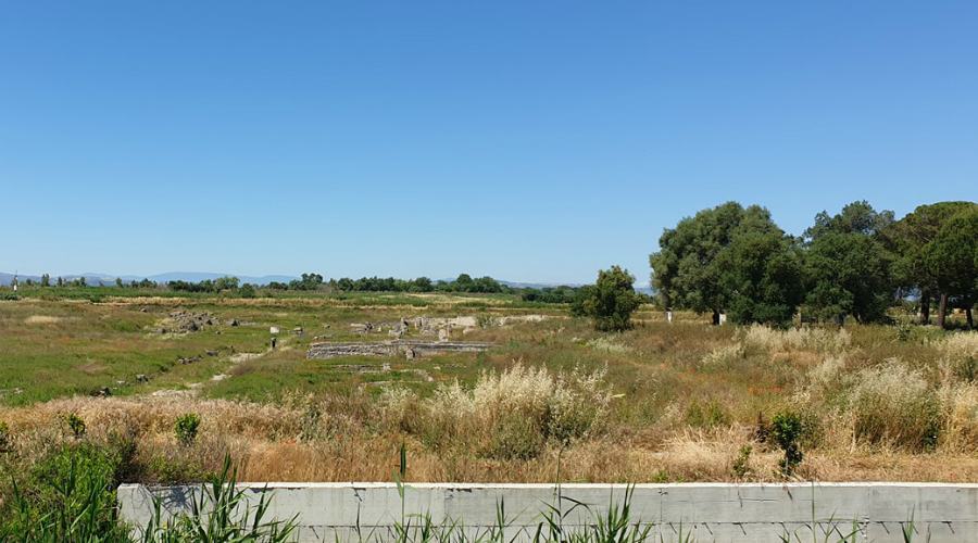 parco archeologico sibari erbacce 02