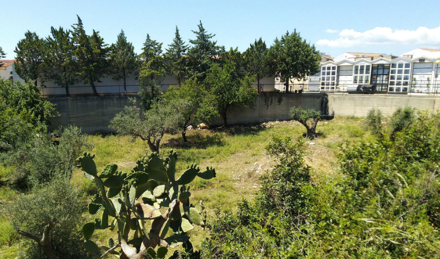 Amendolara: aggiudicato l'appalto per il cimitero, a breve i lavori 57 CIMITERO Amendolara