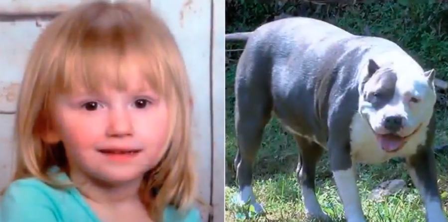 bimba autistica e Penny