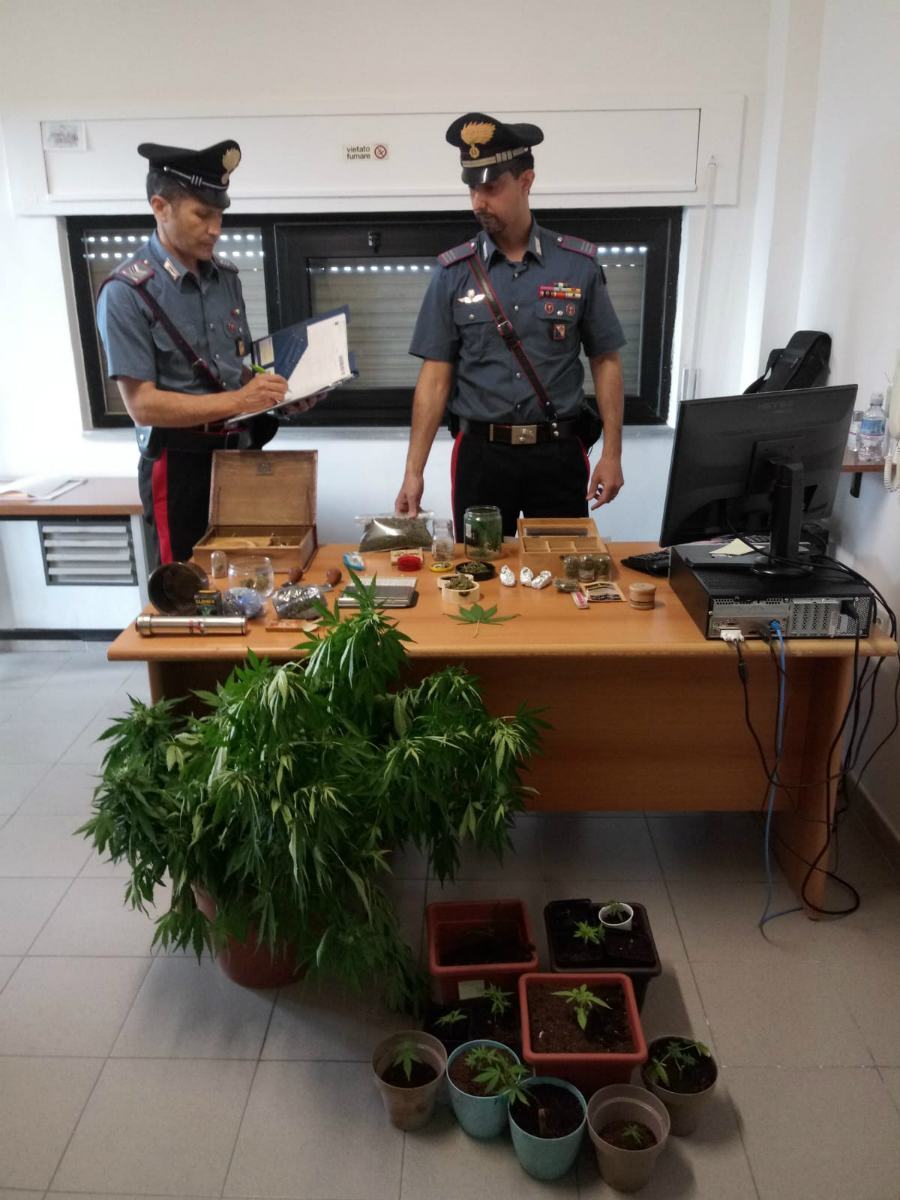 marijuana 4 arresti san demetrio 2