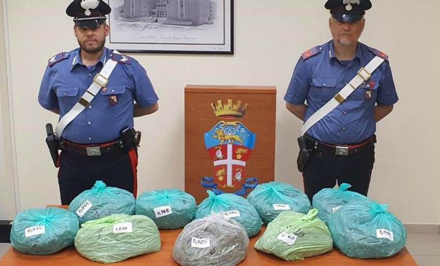 marijuana auto 10 chili