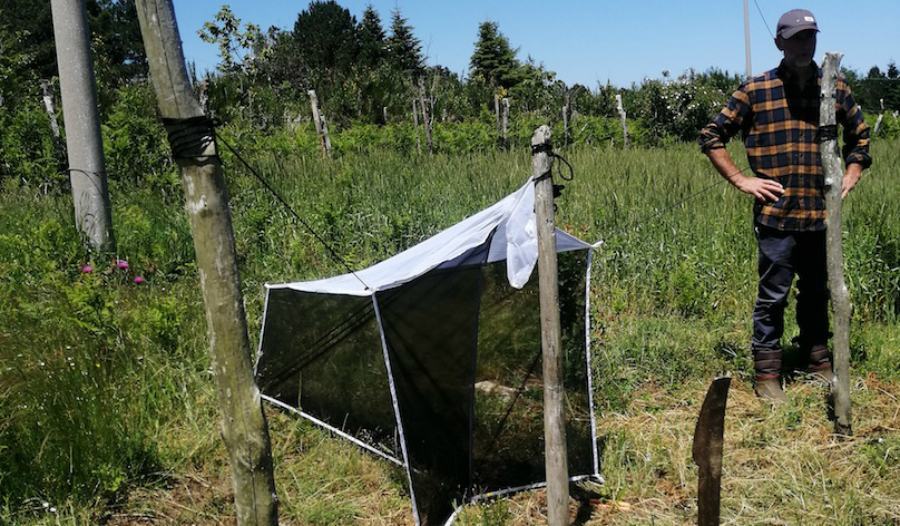 Salvaguardia degli insetti impollinatori, al via il progetto “Simpara” 54 simpara 02
