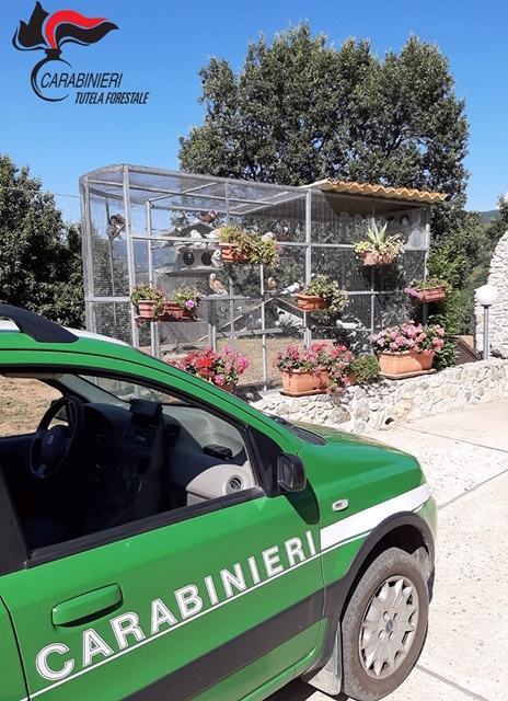 PHOTO 2020 07 29 08 04 46