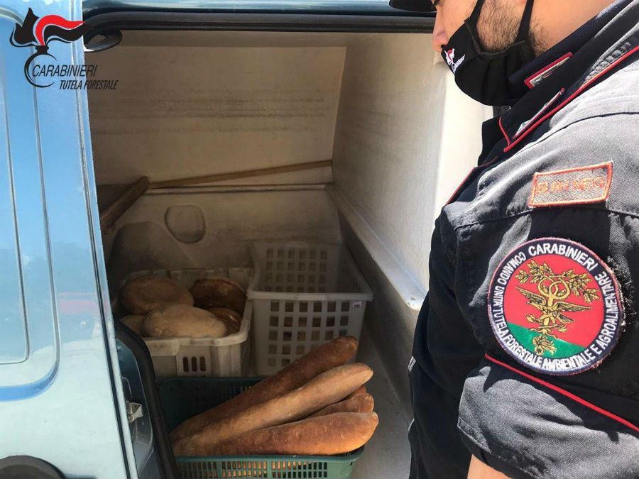 Produzione e vendita abusiva in un panificio del cosentino: sequestrati 2 quintali di alimenti 56 SEQUESTRO San Benedetto1