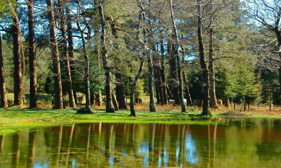 Censimento Nazionale FAI, fino a dicembre si possono votare i "Luoghi del Cuore" 59 Sentiero del brigante Santo Stefano in Aspromonte