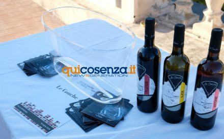 Turismo enogastronomico, i produttori chiedono maggiore progettualità 58 Villa Rendano Cosenza Vino 05