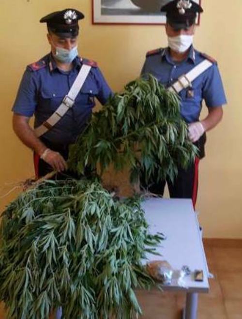 marijuana casali manco carabinieri