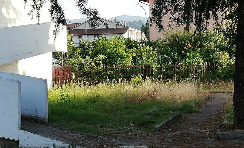 Surdo e Saporito, De Rango denuncia: "totale stato di abbandono" 58 saporito