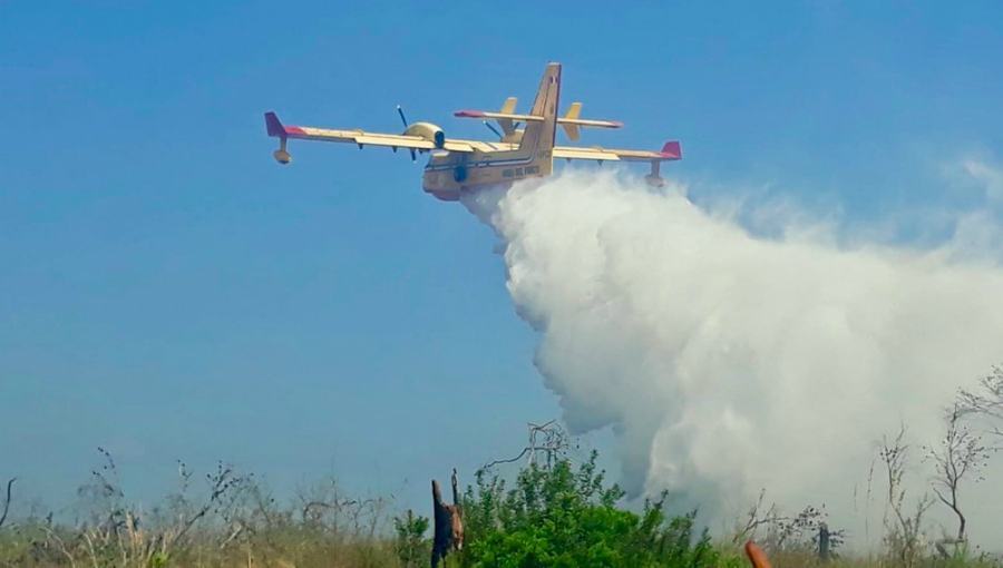 canadair incendi boschivi
