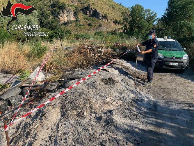 Bruciavano rifiuti e tagliavano alberi abusivamente, due persone denunciate nel cosentino 56 rifiuti2