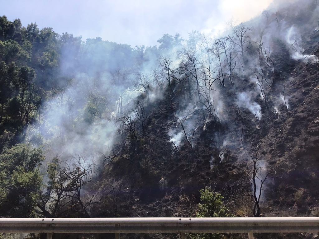 Cosenza: incendio boschivo colposo, denunciati l'amministratore e un dipendente 54 PHOTO 2020 09 14 08 31 12