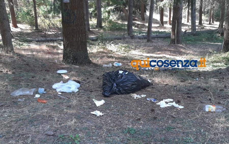 La Sila deturpata da incivili e trogloditi. Rifiuti abbandonati ovunque 65 Rifiuti e degrado sila 05