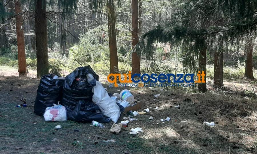 La Sila deturpata da incivili e trogloditi. Rifiuti abbandonati ovunque 62 Rifiuti e degrado sila 07
