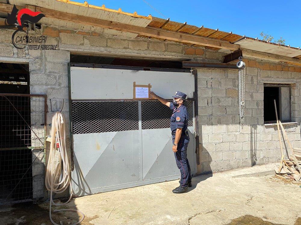 Montalto Uffugo, carabinieri sequestrano fabbricati abusivi in una zona agricola 54 abusi 2