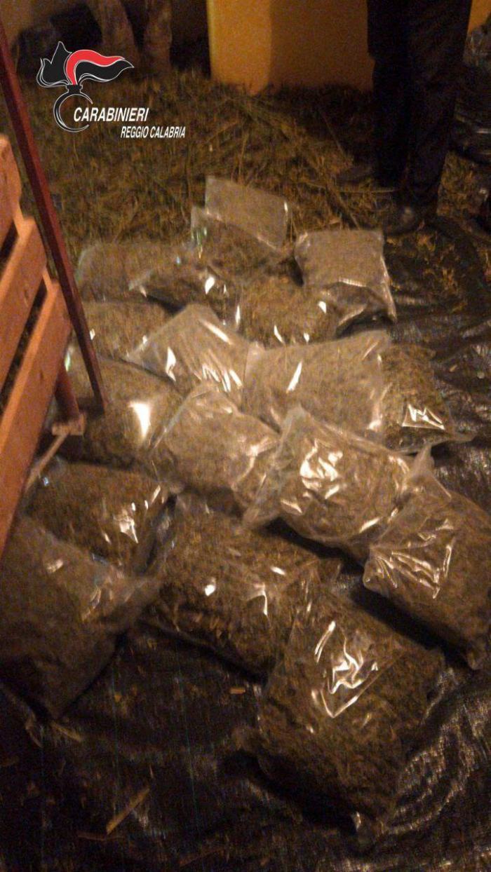 Sequestrato un essiccatoio per la marijuana e droga per 900mila euro 54 marijuana essiccatoio 02
