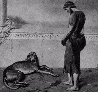 San Fili: cani uccisi o deportati, lettera al sindaco. A scrivere anche Brunori 54 randagismo imm articolo lettera san fili