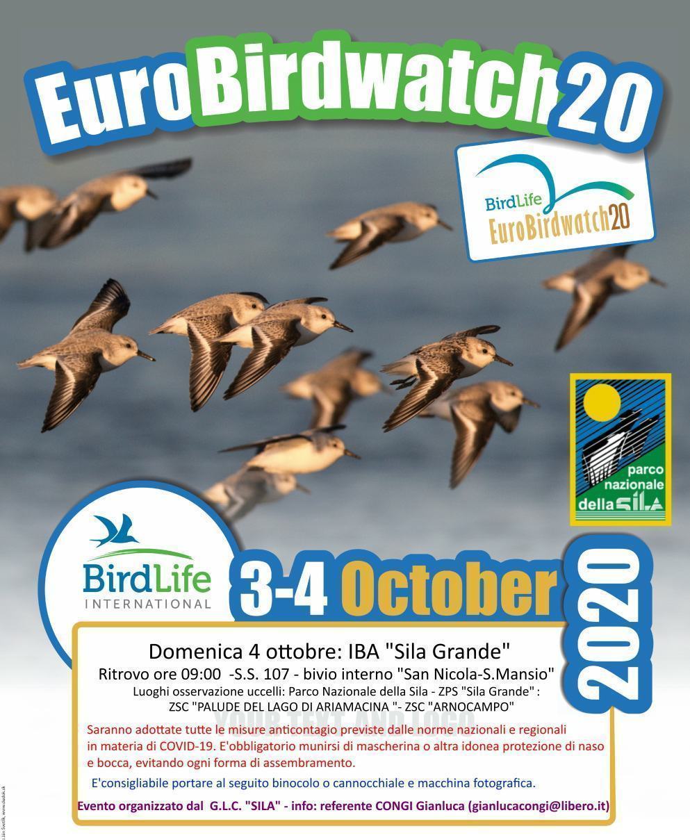 Nel Parco Nazionale della Sila ritorna l'Eurobirdwatch 54 EuroBirdWatch 2020 locandina SILA