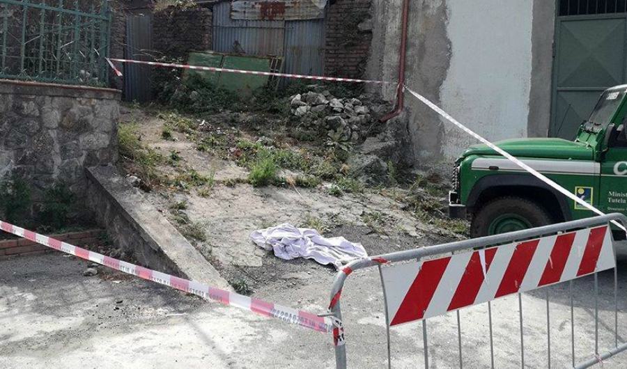 Cani avvelenati, carabinieri forestali indagano per risalire agli autori 54 cani avvelenati carabinieri forestali 01