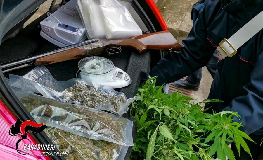 La piantagione di marijuana nella serra vicino casa, arrestata intera famiglia 54 serra bovalino marijuana famiglia 02