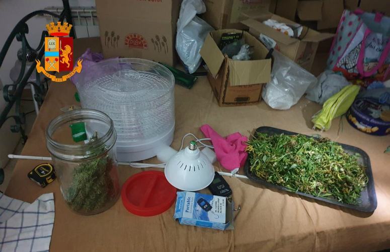arresto marijuana