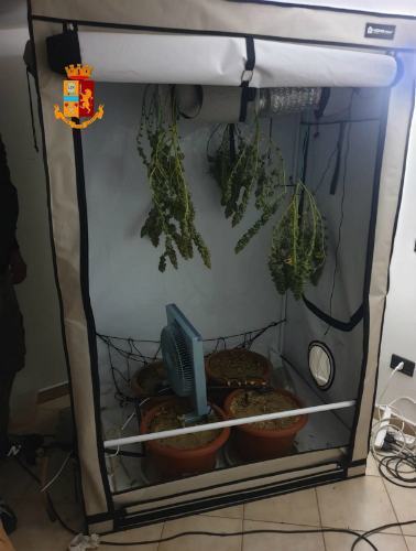 marijuana casa