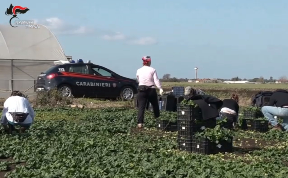 caporalato operazione carabinieri