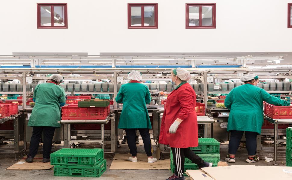 Donne braccianti, invisibili e sfruttate. La provincia di Cosenza nel rapporto "Cambia Terra" 53 Magazzino 4 @ActionAid