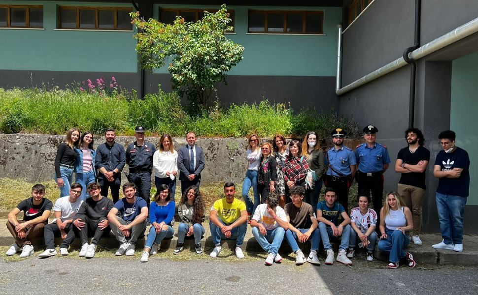 Mormanno albero ulivo falcone e borsellino 02