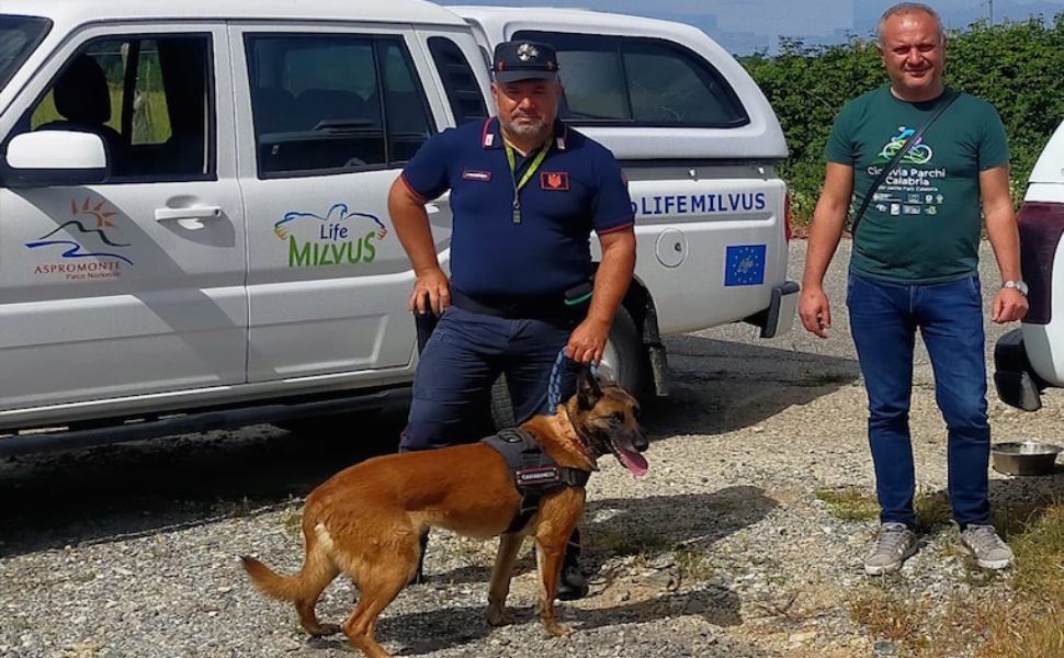Unita cinofila antiveleno e Parco Aspromonte