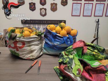 2022.6.6 Arresto di S. G. e P. N. per furto aggr. in conc. a Santa Severina KR.