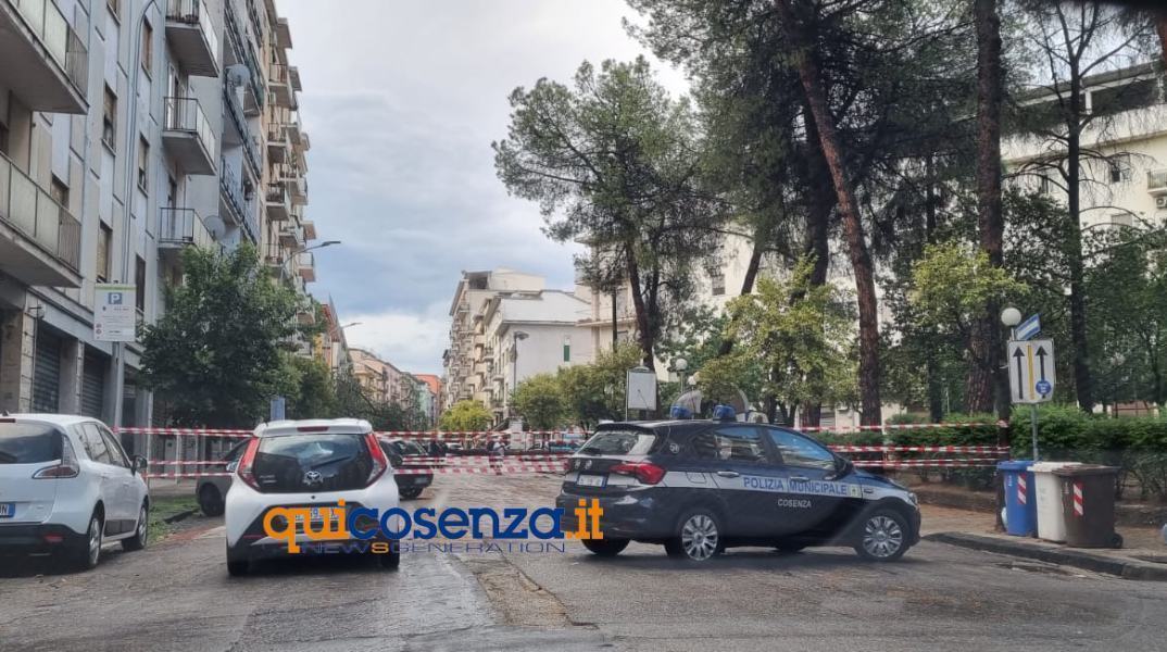 albero auto punto viale repubblica 03