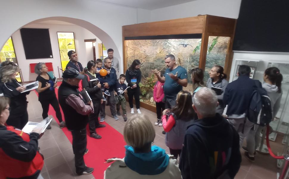 Family CAI Tarsia 01