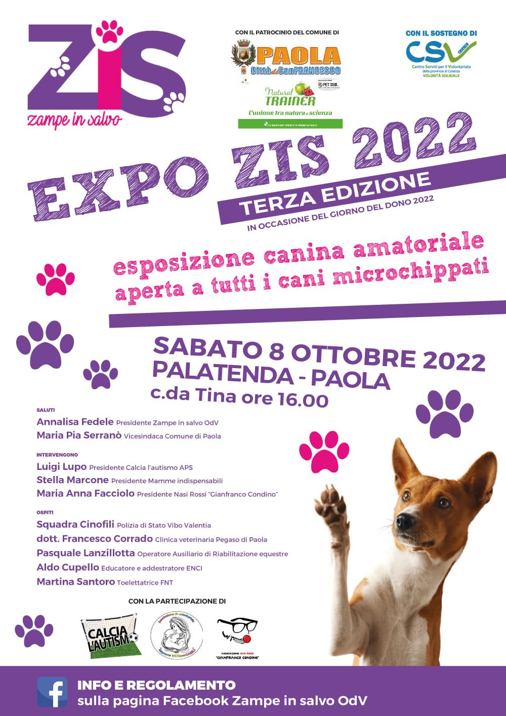 locandina con trainer