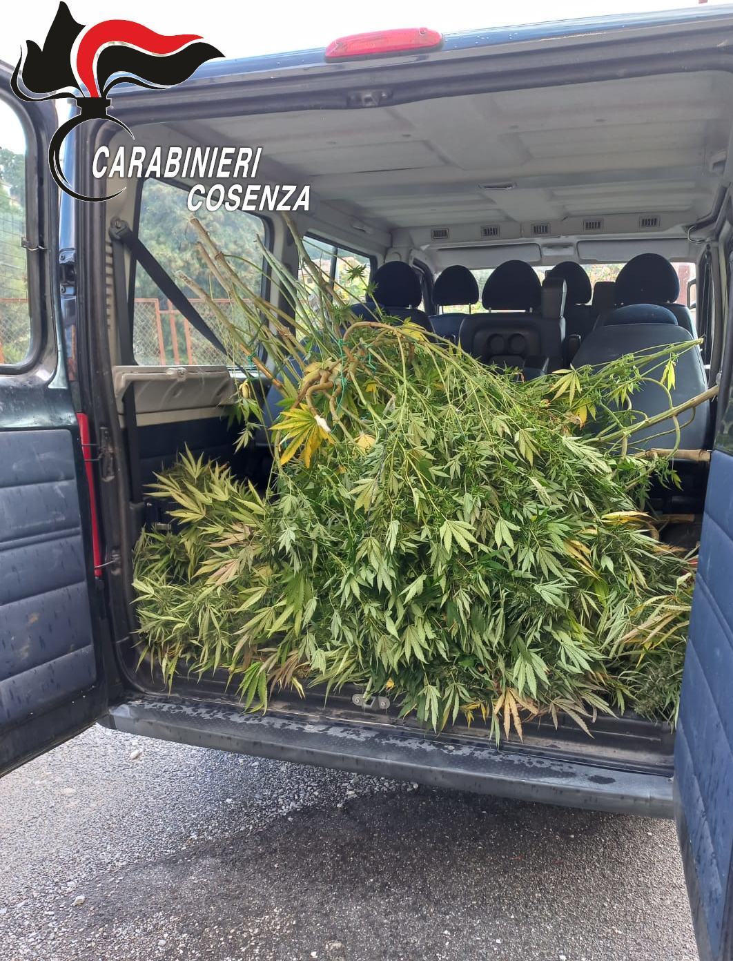 marijuana 28enne arresto cc malito 02